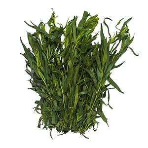 Kräuter / Estragon