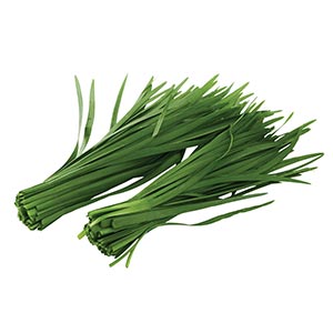 Kräuter / Chinesischer Schnittlauch