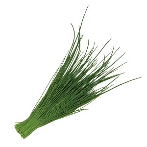 Kräuter / Schnittlauch