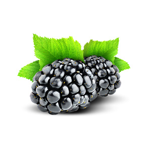 Obst / Brombeeren