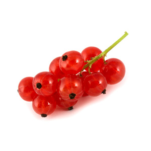 Obst / Rote Ribisel
