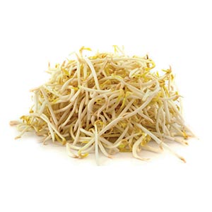 Kraut und Sprossen / Soja Sprossen