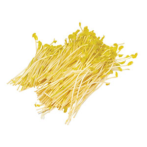 Kraut und Sprossen / Spargel Sprossen