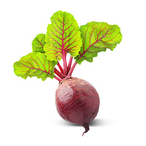 Gemüse / Rote Bete