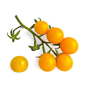 Gemüse / Tomaten Cherry, gelb