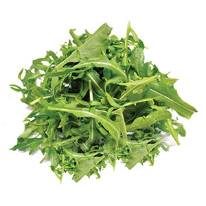 Gemüse / Rucola