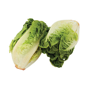 Gemüse / Salat Romana